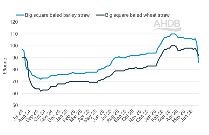 A line graph showing GB big bale straw weekly prices 12 July 2026.